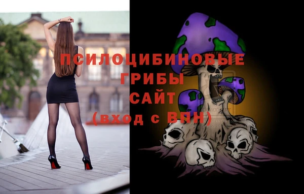 экстази Каменка