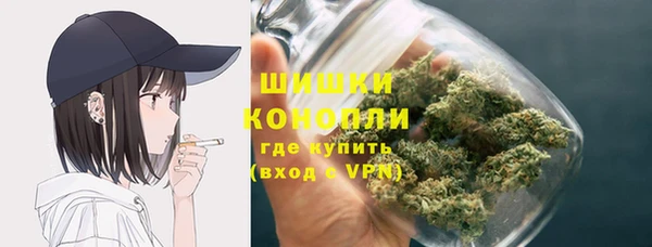 метадон Каменногорск