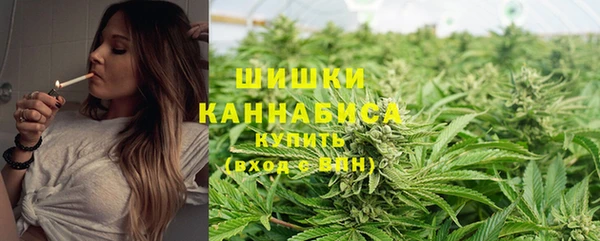 ALPHA PVP Каменск-Шахтинский