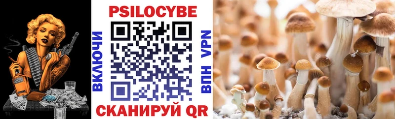 Псилоцибиновые грибы GOLDEN TEACHER Купить Лениногорск